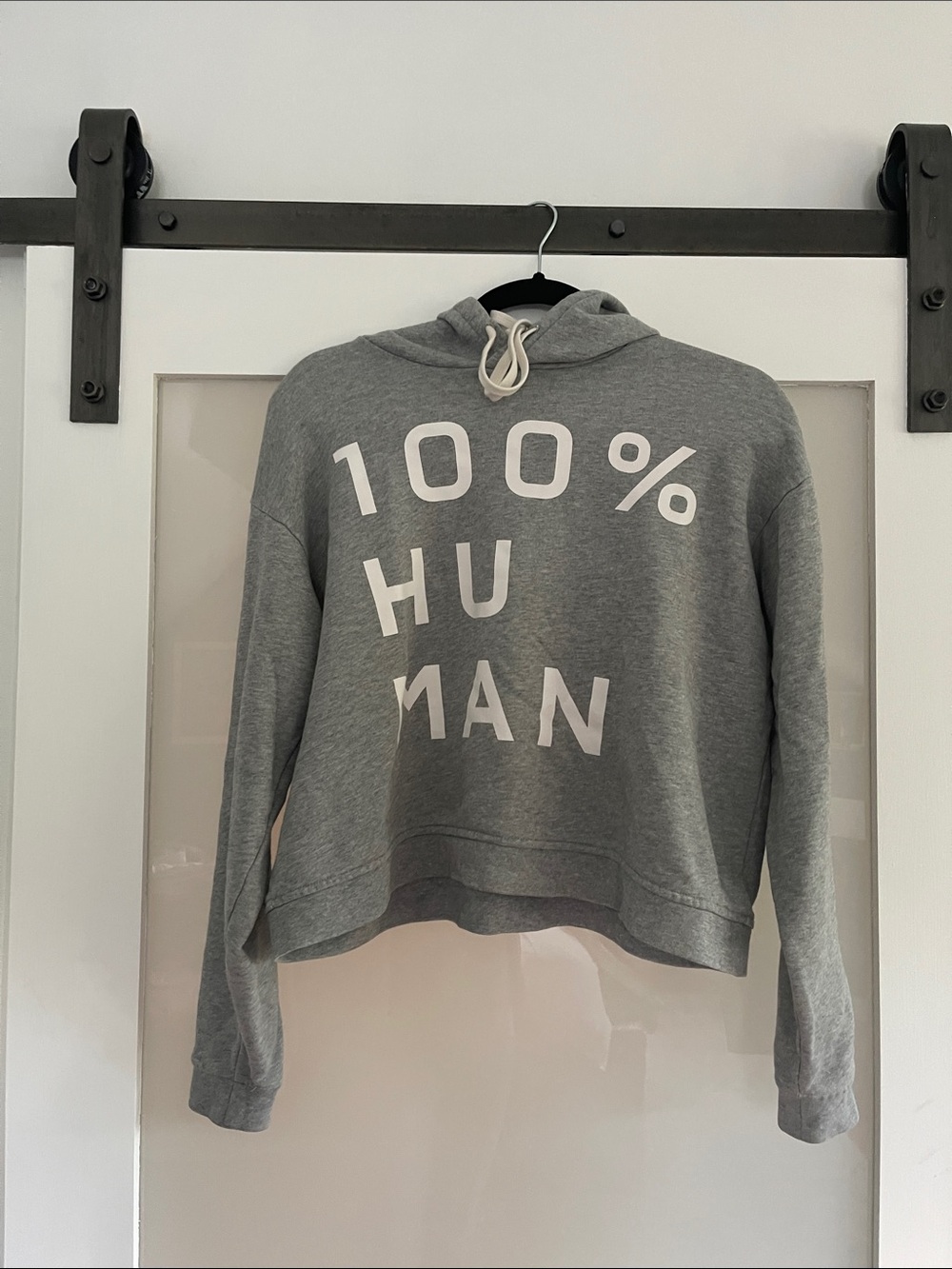 Everlane Gray '100% HUMAN' Pullover Hoodie